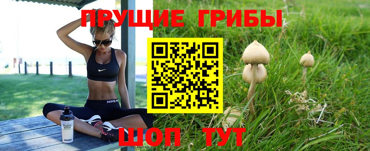 Ачхой-Мартан  Галлюциногенные грибы ЛСД  Вход с VPN 